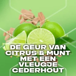 AXE Green Mojito & Cedarwood 3-in-1 Douchegel 250 ML