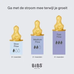 Bibs Bottle Nipple Flesspeen Slow Flow 2 pack