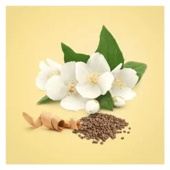 Calvin Klein Beauty eau de parfum 100 ML