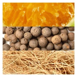 Davidoff Adventure eau de toilette 100 ML