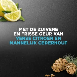 Dove Men+Care Clean Comfort Douchegel Mini 55 ML