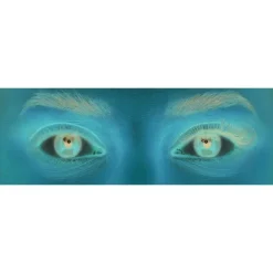 Eylure Volume & Curl Voluminous Wimper Clusters