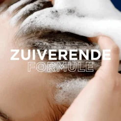 Garnier Loving Blends Charcoal Shampoo 300 ML