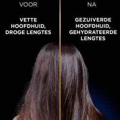 Garnier Loving Blends Charcoal Shampoo 300 ML