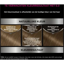 Garnier Olia Permanente Haarverf 6.0 Donkerblond
