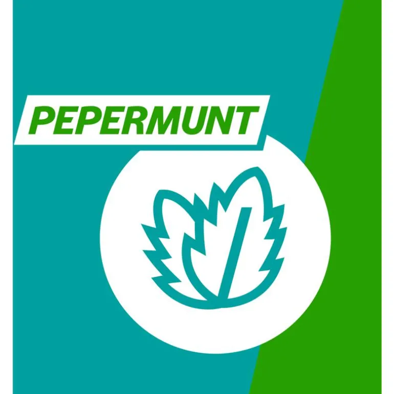 Gaviscon Kauwtabletten Pepermunt Maagzuurremmers 48 Stuks