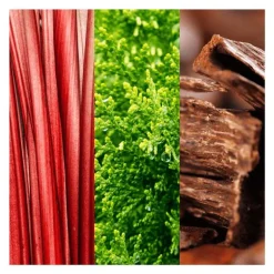 Joop! Go eau de toilette 100 ML