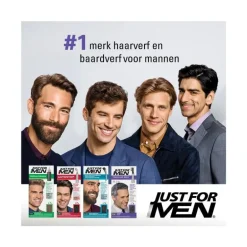 Just For Men Touch of Grey T55