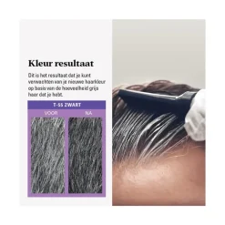 Just For Men Touch of Grey T55