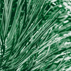 Kneipp Men 2-in-1 Nature Feeling Douchegel 200 ml