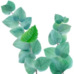 Kneipp Refreshing Badschuim 400 ML