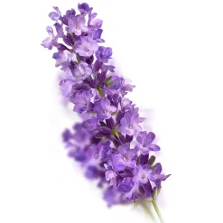 Kneipp Relaxing Badkristallen 600 GR