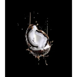 L'Oréal Paris Elvive Extraordinary Oil Rapid Reviver Deep Conditioner 200 ML