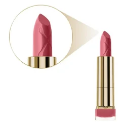 Max Factor Colour Elixir Lipstick 894 Raisin