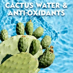 NIVEA MEN Fresh Kick Deodorant Rolller 50 ML