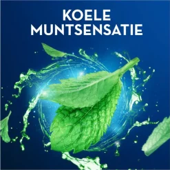 Oral-B Pro-Expert Premium Flosdraad Munt