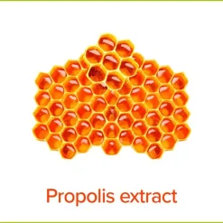 Palmolive Hygiëne Plus Family Antibacteriële Vloeibare Handzeep 500 ML