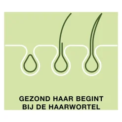 Priorin 60 Capsules Met Biotine Voor Sterk En Vol Haar Van Binnenuit